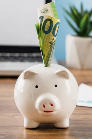 CASE front-view-office-items-with-piggy-bank (1).jpg